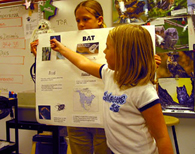 Fourth graders in Sue Simpson's class learned about adaptation and habitat when they researched bats for a class project.